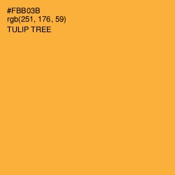 #FBB03B - Tulip Tree Color Image